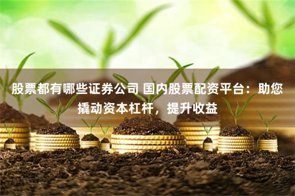 股票都有哪些证券公司 国内股票配资平台：助您撬动资本杠杆，提升收益