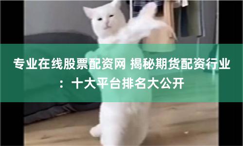 专业在线股票配资网 揭秘期货配资行业：十大平台排名大公开